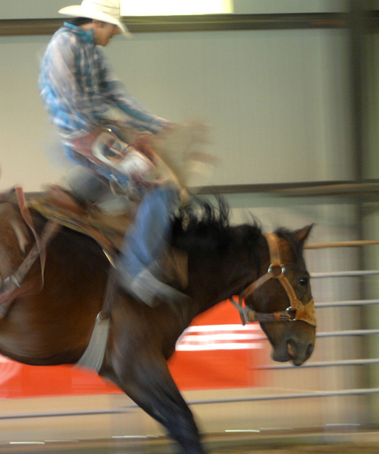 A young cowboy tests his skills